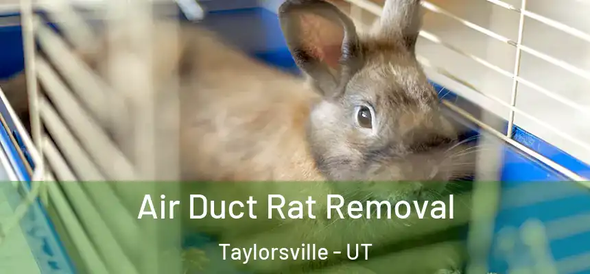  Air Duct Rat Removal Taylorsville - UT
