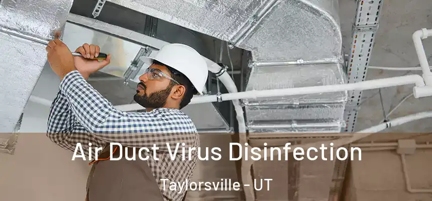  Air Duct Virus Disinfection Taylorsville - UT