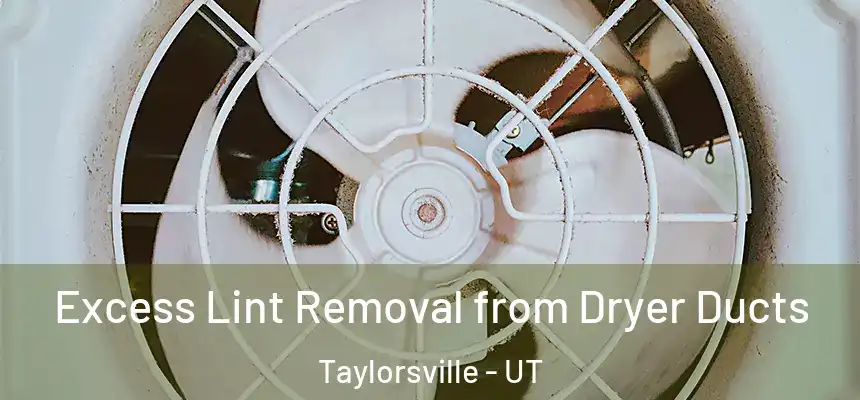  Excess Lint Removal from Dryer Ducts Taylorsville - UT