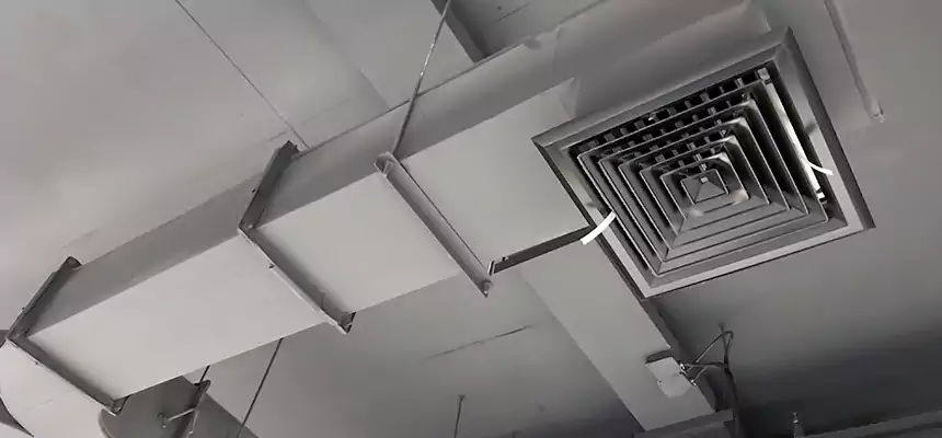 Restorative Allergy Relief Vent Cleaning – Coil, Blower & Housing Detail in Taylorsville