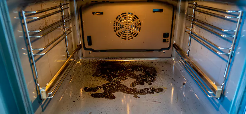 Our Dryer Vent Mold Cleaning Services in Taylorsville, UT