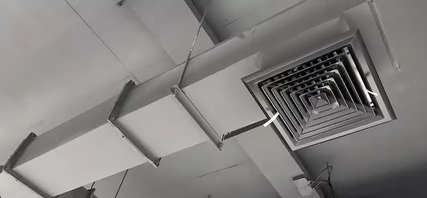 Our Rodent Droppings In Vents Services in Taylorsville, UT