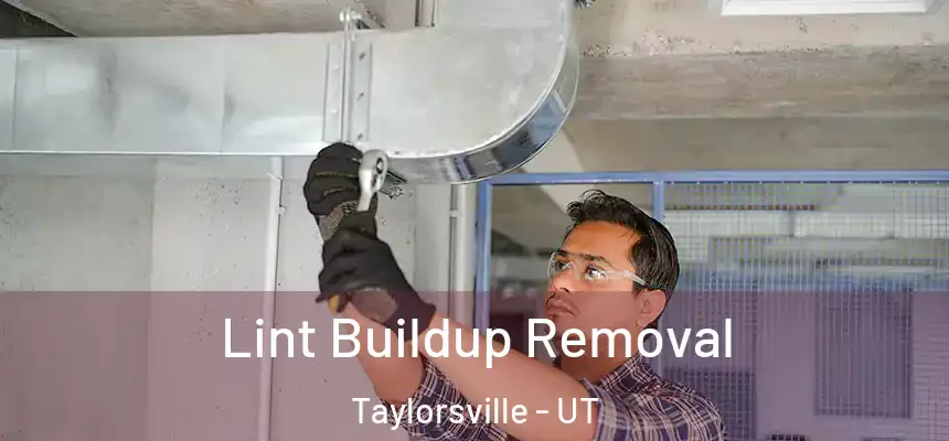  Lint Buildup Removal Taylorsville - UT