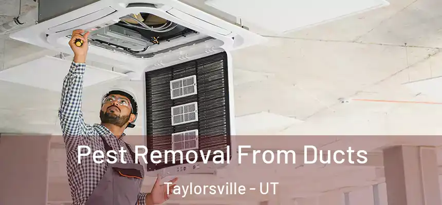  Pest Removal From Ducts Taylorsville - UT