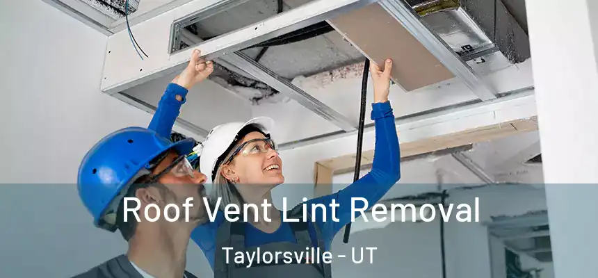  Roof Vent Lint Removal Taylorsville - UT