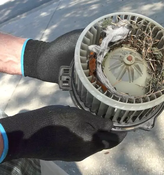 About Air Duct Mice Removal in Taylorsville, UT