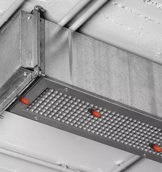 Affordable Insect Removal from Air Ducts in Taylorsville, UT