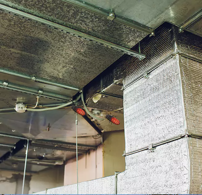 Why Homeowners & Businesses Trust Us Taylorsville, UT?