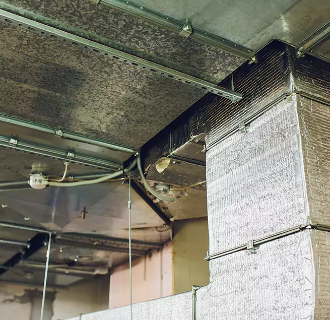 Why Homeowners & Businesses Trust Us in Taylorsville, UT?