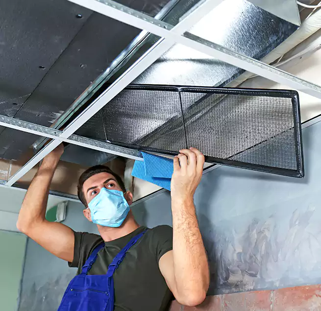 Why Homeowners Businesses Trust Us in Taylorsville, UT